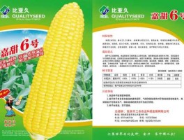 吉林321新闻网？科泰321玉米种子好吗？