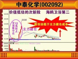 002092股票 中泰化学是什么龙头？