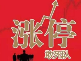 股市有那些敢死队（游资敢死队）