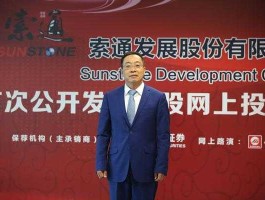 索通发展 索通发展主营业务？