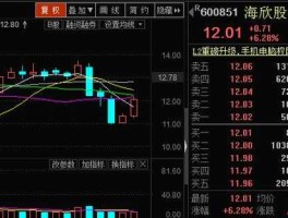 600851海欣股份（海欣股份和海欣食品是一个公司板块吗？）