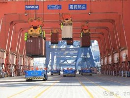 王炎平 福建省有什么大型的海运公司？