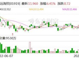 海胶股市（海胶公司）