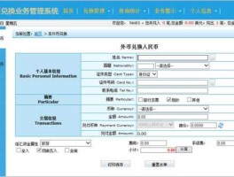 外币兑换平台（外币兑换平台官网）