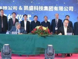 中科信证券？中科凯盛上市了吗？