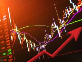 股市特（股市特点）