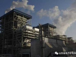 石油大明 东营大明热电是国企吗？