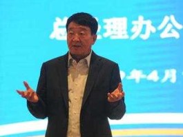 苗连生（英利能源（中国）有限公司的董事长简介？）