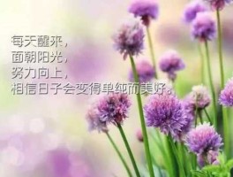 超级感悟 超级蚊子的侵袭，感想感言怎么写？