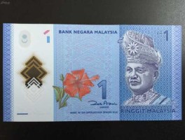 一元等于多少马来西亚币(一元等于多少马来西亚币)