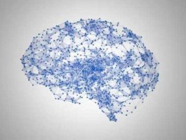 大脑分析（通过指纹来分析大脑科学吗？）