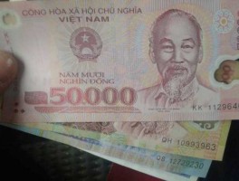 一亿越南币在越南能干嘛(一亿越南币能在越南玩几天)