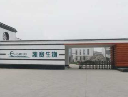 凯赛生物？谁知道济宁凯赛生物科技有限公司里面的工人待遇怎么样啊？