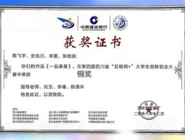 互联网黄金？互联网加省级铜奖是什么概念？