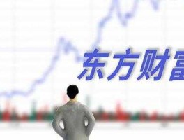 东方创业？东方财富证券为什么是创业板？