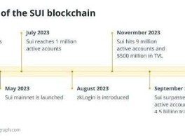 SUI是什么？ SUI是去中心化网络的未来吗？
