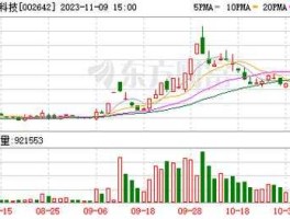 002642股票（荣联科技是什么公司？）