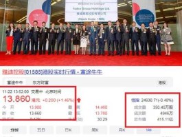 002429股票 雅迪是上市公司吗？