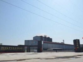 国际实业？国际实业做什么的？