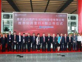 正川股份吧（正川投资有限公司开工了吗）