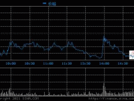 600104股票（斯柯达股票代码是多少？）