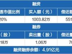 亚宝药业股票（亚宝药业哪年进入中国500强？）