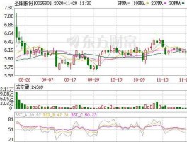 圣阳股份股票（新能源股票公司有哪些？）