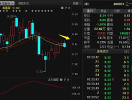 股票600031分析讨论区（600068股票分析）