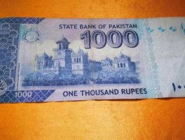 1000卢比巴基斯坦(500卢比巴基斯坦)
