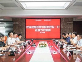 成都东软集团（成都核算系统哪家公司负责？）