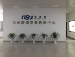 苏州新海宜 新海宜集团现状？