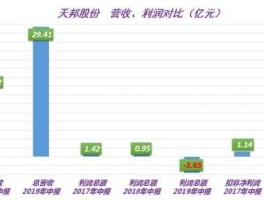 天邦股份分红（天邦股份利润）