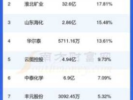 002539股票？我国生产盐的上市公司有几家？