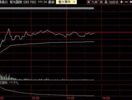 002058（紫光集团旗下的上市公司？）