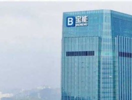 宝能集团 宝能集团500强企业吗？