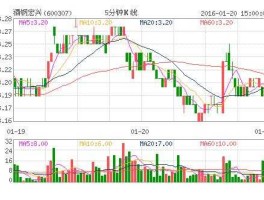 600307股票？600307酒钢宏兴可以重仓持有吗？