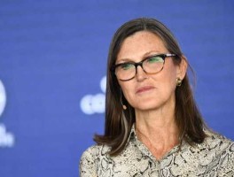 木木股市（股市木头姐是谁）