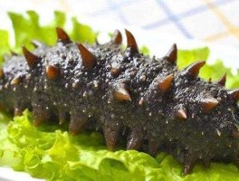 海参的价格（小兵海参多少钱一斤？）