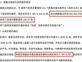 机构认购倍数，什么是融资认购倍数？