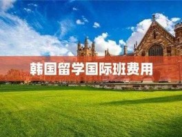 韩国留学费用一年多少（韩国留学费用一年多少专科）