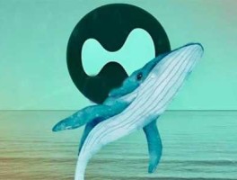 Hyperliquid50倍杠杆巨鲸将DeBank帐号名改为MELANIA！ZachXBT将曝光其犯罪证据