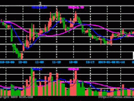 两面针股票 两面针股票最高涨多少钱？