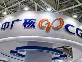 中广核 深圳中广核是什么公司？