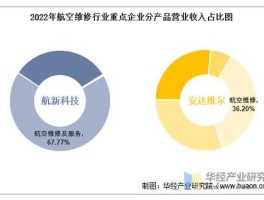 航新科技发展前景（航新科技做什么的）