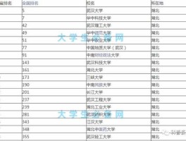 湖北网站建设公司 湖北设计类大学排名？