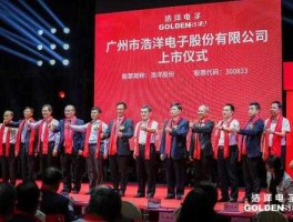 浩洋股份？广州市浩洋电子股份有限公司怎么样？