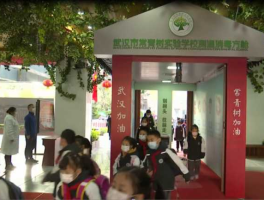 长青集团（武汉市常青树教育集团有哪些学校？）