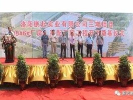 洛阳鹏起实业最新消息（洛阳鹏起科技最新公告）