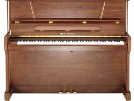 南京新百行情？南京新百凯撒堡UH121价格22800，伯恩斯坦IBS120价格2200元，是买德国设计的珠江，还是买德国牌子伯恩斯？