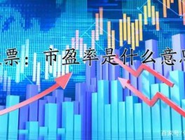 新股市（新股市盈率什么意思）